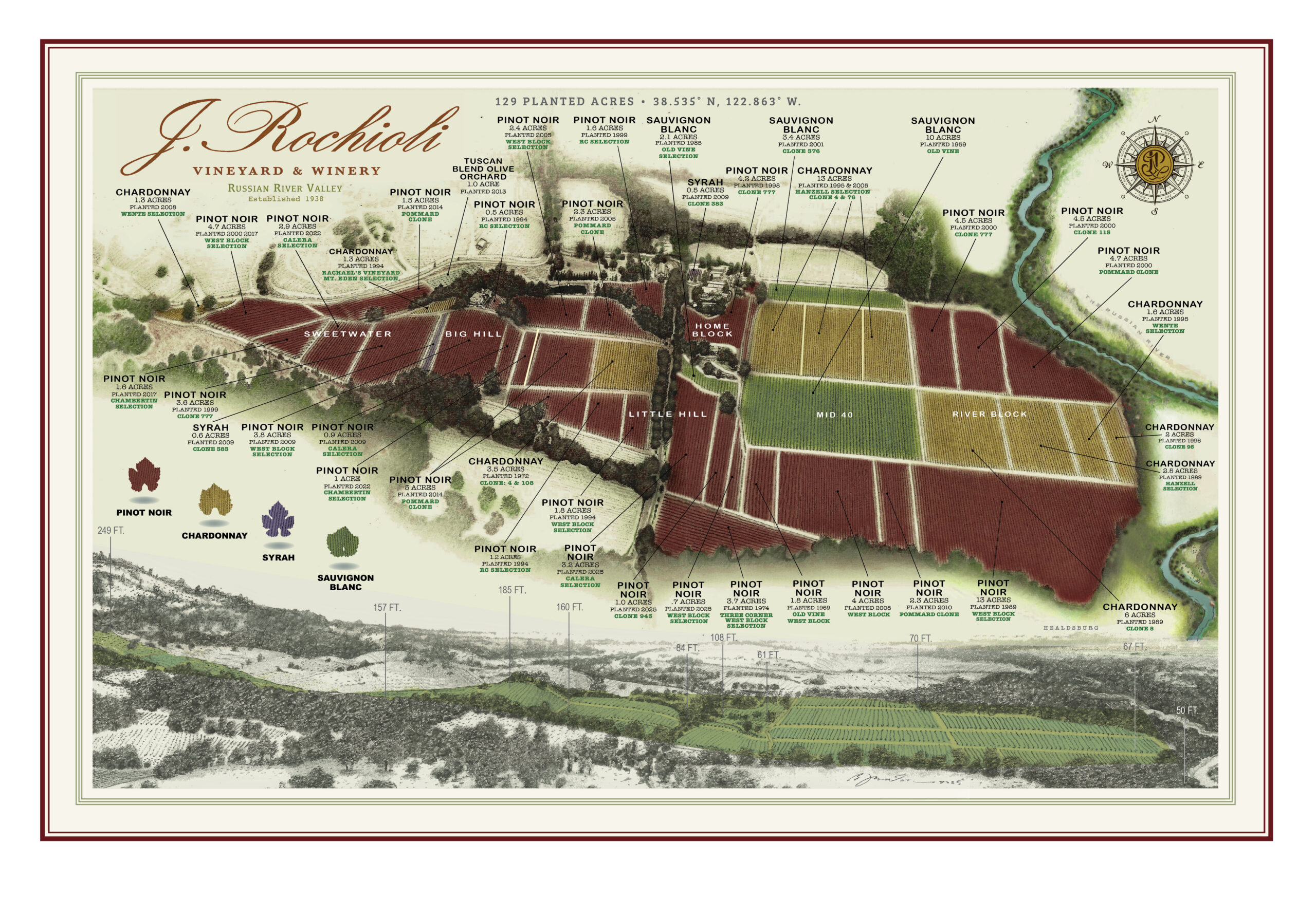 Rochioli VIneyard map